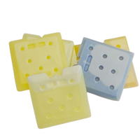 Brique de refroidissement avancée en matériau à changement de phase (PCM) HDPE, réutilisable, de qualité alimentaire, plaque eutectique, écologique, recyclable, résistante à l'eau