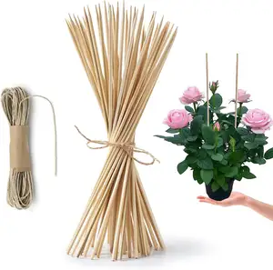 50 paket 16 "bambu bitki Stakes ahşap bahçe sopa ahşap kapalı bahçe çiçek bitki desteği