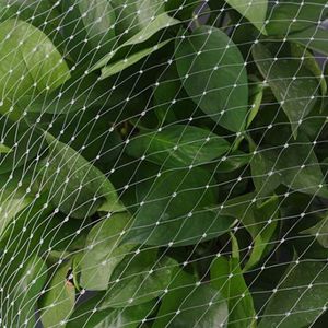 Filet anti-<span class=keywords><strong>oiseaux</strong></span> en plastique diamanté - Maille extrudée 5gsm/7gsm pour l'agriculture - Product Image 2