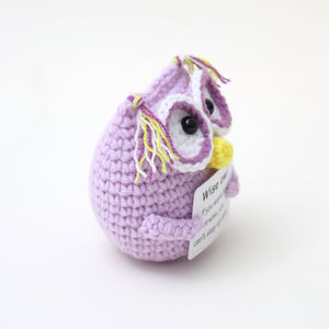 Bambola <span class=keywords><strong>Gufo</strong></span> Fatta a Mano, Carina, in Tessuto Lavorato all'Uncinetto, Artigianato Tessile, Supporta l'Encoraggiamento Emotivo Positivo, Carta Ispirazionale Inclusa, Regalo - Product Image 1