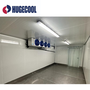 Cửa hàng Hoa phòng lạnh đi bộ trong thiết bị làm lạnh lạnh cho trái cây và rau - Product Image 5