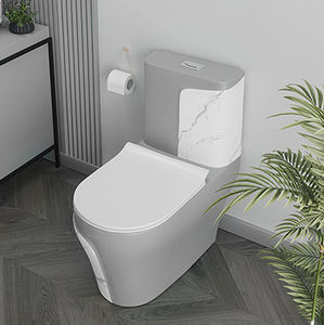 <span class=keywords><strong>Inodoro</strong></span> de Cerámica Moderno sin Borde para Hotel, <span class=keywords><strong>Inodoro</strong></span> de una Pieza en Color Gris Mate - Product Image 2