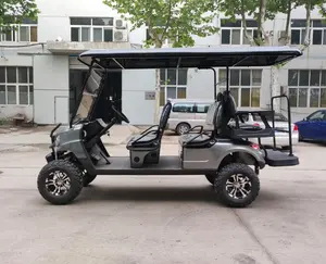 TianYing Best prices electric golf car 6 seaters 4 wheel electric club car golf cart for Scenic Region
