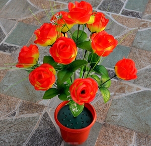 <span class=keywords><strong>Maceta</strong></span> de Plástico YongHo para Suculentas con Bandeja, <span class=keywords><strong>Maceta</strong></span> Redonda de Doble Capa para Plantas Pequeñas, Ideal para Oficina - Product Image 6