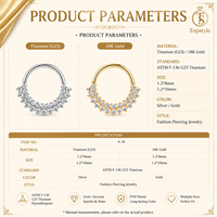 Anneau clicker segmenté en titane G23 robuste et hypoallergénique avec incrustation dense de zircone cubique pour la décoration du septum, du nez, de l'oreille et du cartilage