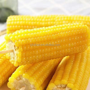 Niet-Gmo Gele Zoete Wasachtige Verse Maïskolf Gedroogde En Ingevroren Iqf Klaar Om Te Eten Vacuümverpakte Maïskorrel - Product Image 6