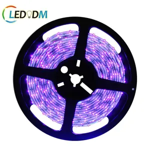 Ultravioleta SMD 3528 5050 IP67 Impermeável LED Luz Negra 390nm-405nm 5M/roll Luz de Tira UV LED