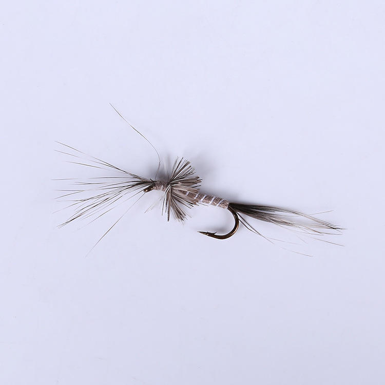 FN531-10   เอฟเอ็น531-10#