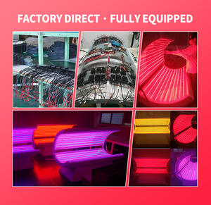 Suyzeko <span class=keywords><strong>2026</strong></span> 红光疗法桌面型 2500W 减重 OEMODM 运动恢复肌肉修复 510(K) 认证商用 - Product Image 6