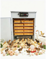 Incubateur solaire automatique pour 1056 œufs de poulet, canard, oie, caille, taux d'éclosion élevé, machine d'incubation avicole à économie d'énergie HJ-SI7