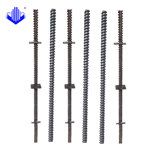 แกนสกรู0.8ม. 16มม. สำหรับโรงงานแบบหล่อชั่วคราวขายตรงในแอฟริกา - Product Image 6