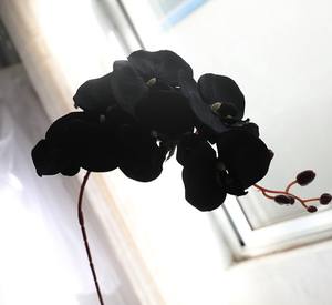 FC4102 оптовая продажа, Искусственные черные шелковые орхидеи с 8 цветами для украшения - Product Image 6