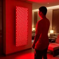 Panel Profesional de Terapia de Luz Roja de Cuerpo Completo 1060nm con Control Táctil TFT, Cero EMF, Sin Parpadeo, para Salones de Bienestar y Belleza