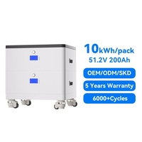 Batterie LiFePO4 51,2 V 200 Ah 10,24 kWh Empilable Stockage Solaire Hybride BMS RS485/CAN Bluetooth WiFi 10-20 kW de crête 16 unités en parallèle