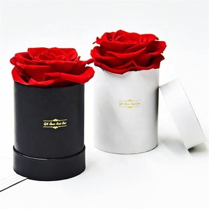 QSLH-PRE015 <span class=keywords><strong>Rosas</strong></span> Rojas Preservadas Personalizables de Larga Duración en Caja de Regalo para el Día de San Valentín, Navidad, Halloween, Graduación - Product Image 6