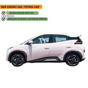 Derniers modèles 305KM Freedom Seagull 2025 BYD Voiture Véhicules électriques neufs - Product Image 1