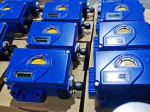 Contrôle numérique OEM Dvc6200 3730-3 Logix 3800 Foxboro SRD991 Masoneilan Svi3 Ball - Product Image 5