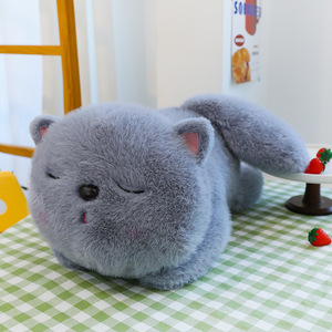 Kreatif baru untuk kucing <span class=keywords><strong>Totoro</strong></span> mainan mewah lucu teman tidur dan bantal menggemaskan hadiah untuk anak perempuan mainan mewah - Product Image 6