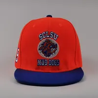 Erkek The Waterboy #9 Bobby Boucher Adam Sandler çamur köpekler film beyzbol şapkası Snapback şapka işlemeli ayarlanabilir