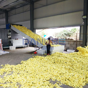 Máquina profesional de secado de mallas de muzmuz y osmanthus, equipo deshidratador de osmanthus - Product Image 3