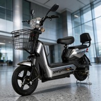 Vélo Électrique Paige en Promotion Usine, Scooter Motorisé ODM/OEM 48V 250W UE, Vélo Électrique Urbain Mini Pas Cher pour Femme, Vélo-Pedicab
