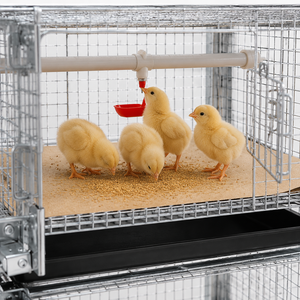Cages d'élevage de poulets de type H pour la ponte des poules pondeuses, fabriquées par des professionnels, à <span class=keywords><strong>vendre</strong></span> - Product Image 6
