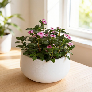 <span class=keywords><strong>Jardinière</strong></span> en plastique, fabrication par moulage direct, design à bord large et rond, style minimaliste, idéale pour la décoration du jardin et de la maison/bureau. - Product Image 4