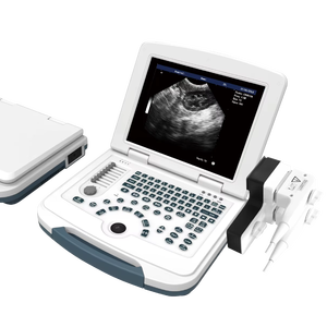 Meilleur prix pour un échographe vétérinaire portable DMSU06 de haute qualité, noir et blanc, pour animaux de grande taille et élevages - Product Image 1