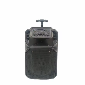 CQA 12 Zoll Outdoor Karaoke Wireless Trolley Lautsprecher <span class=keywords><strong>box</strong></span> Mit USB DJ Subwoofer Lautsprecher Heimkino Trolley Party Sound <span class=keywords><strong>box</strong></span> - Product Image 1