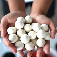 Balles en caoutchouc hautement élastiques pour tamis vibrant, pièces de rechange pour machine de criblage, tailles 15-60 mm, couleurs blanc/noir, pour l'exploitation minière