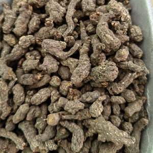 Tiankui Zi Mil años Mierda de rata cruda seca procesada por tipo de procesamiento de anuncios - Product Image 3