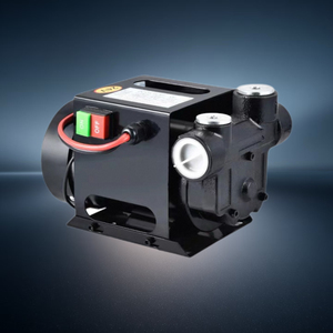 Bomba de Aceite Autocebante Eléctrica de Larga Duración, Alto Flujo, 12V/24V, Bomba Portátil de Mano a Presión, Bomba Móvil - Product Image 3