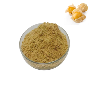 Food Grade Golden <strong>Berry</strong> Fruit Powder Gooseberry Powder <strong>Physalis</strong> Peruviana Extract Golden <strong>Berry</strong> Fruit Extract - Product Image 1