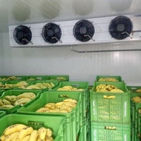 Évaporateur à air refroidi DD DJ DL avec corps en fer pour chambre froide de stockage de légumes, prix de gros direct usine, kit d'approvisionnement en vrac B2B