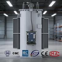 Régulateur de tension monté sur poteau série SVR 19,9KV 300KVA 500KVA pour les réseaux électriques d'Australie et de Nouvelle-Zélande