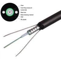 Câble à fibres optiques aérien 2 4 6 8 12 24 cœurs Monomode G652D Câble à fibres optiques blindé Extérieur GYXTW