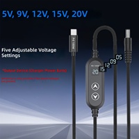 Câble de dérivation d'alimentation Type-C vers DC, adaptateur de tension réglable 5V/19V/12V/15V/20V DC008 pour modems optiques et routeurs 100W
