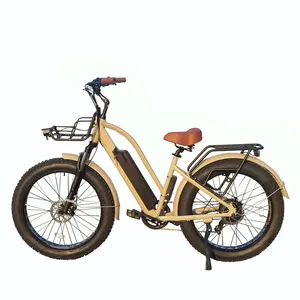 הגעה חדשה אופניים 26 ''שומן עיר Ebike 750 ואט מנוע צעד Thru חשמלי אופני הרים עבור נוסע & האנטר