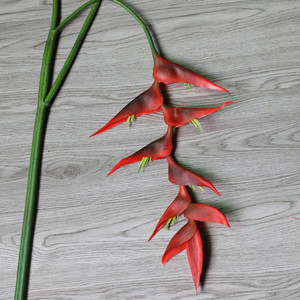 LO-1204 Vente en gros de fleurs artificielles de haute qualité au toucher réel, fleurs de <span class=keywords><strong>paradis</strong></span> artificielles suspendues pour arrangements floraux tropicaux - Product Image 6