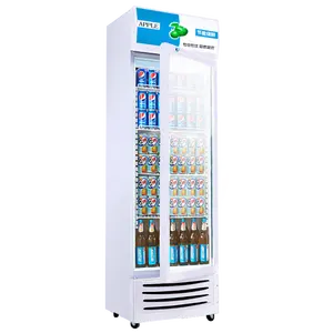 Keep Drinks Cold In Supermarkets Single Door Upright Glass Door Freezer Commercial