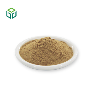 Polvo de Champiñones de Grado Alimenticio para el Cuidado de la Salud, 10%-50% Polisacáridos, Extracto Herbal de <span class=keywords><strong>Sparassis</strong></span> <span class=keywords><strong>Crispa</strong></span> en Envase de Tambor/Botella - Product Image 3