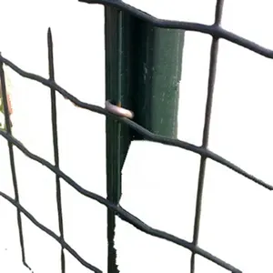 Green plastic coated wave welded mesh panels holland wire mesh