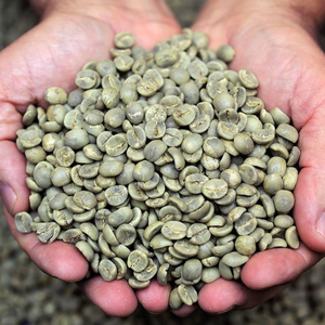 เมล็ดกาแฟอาราบิก้าโรบัสต้าคั่วปราศจากรสขมแบบดิบๆของเวียดนาม - Product Image 3