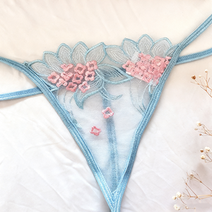 Hot Sale Damen Sexy Hellblaue Spitze Blumen Dessous BH-Set Elegante Mode Transparente Exotische Unterwäsche Höschen Set - Product Image 3