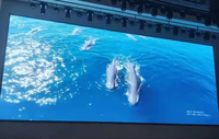 Écran d'affichage LED géant pour sol Panneau LED intérieur extérieur Prix Transparent Location Mur vidéo incurvé pour la publicité Concert Événement