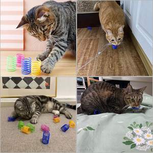 4 Uds. Juguete de resorte en espiral interactivo para gatos creativos de Color personalizado, juguete de resorte de plástico duradero para gatos, juguetes para matar el tiempo y mantenerse en forma - Product Image 2