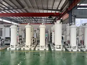 Z-Oxygen High Purity Chinese Cheaper Nitrogen Gas System Instrument Hydrogen Nitrogen Generator