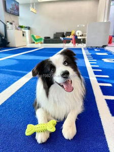 Erba Sintetica Professionale per Allenamento in Palestra, Prato Artificiale per Ginnastica - Product Image 5