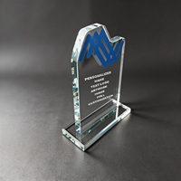 Neelpure 186364 Plaque de reconnaissance personnalisée en cristal de forme abstraite avec logo sur mesure pour les entreprises