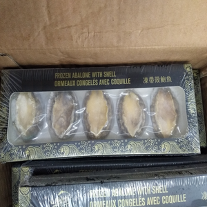 Hải sản đông lạnh bào ngư nguyên con có vỏ bán buôn - Product Image 4